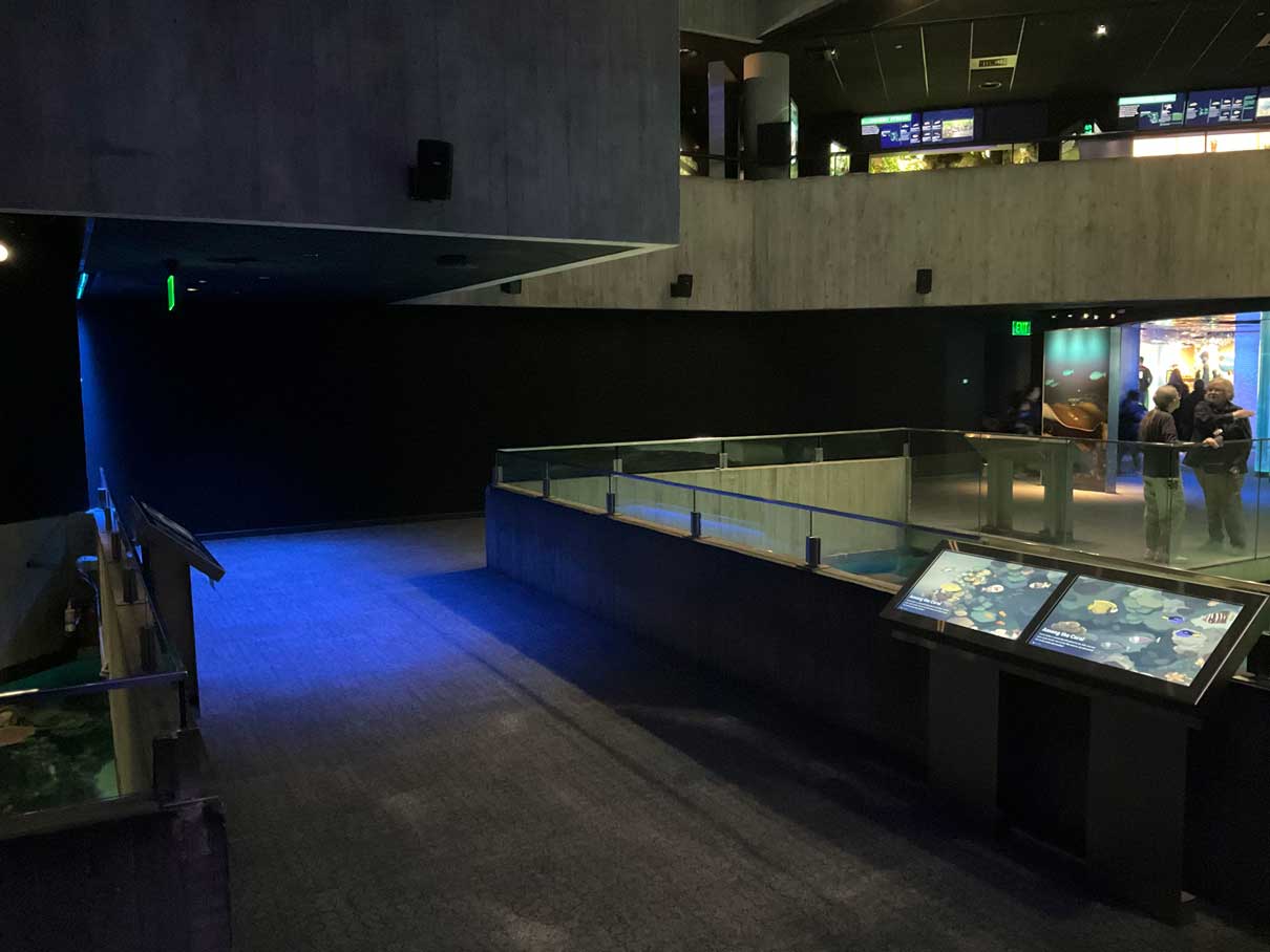 National Aquarium projection wide view